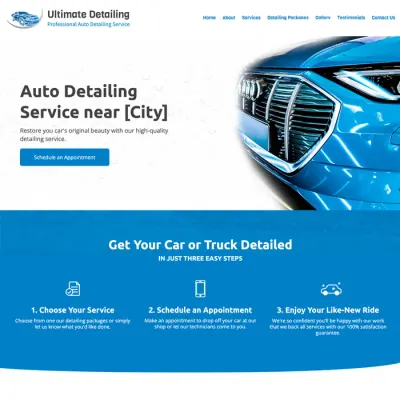 Examples best auto detailing website design theme original original